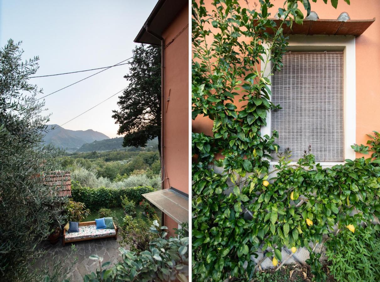 Casetta Di Butia, Appartamento Iris Lucca Exteriör bild