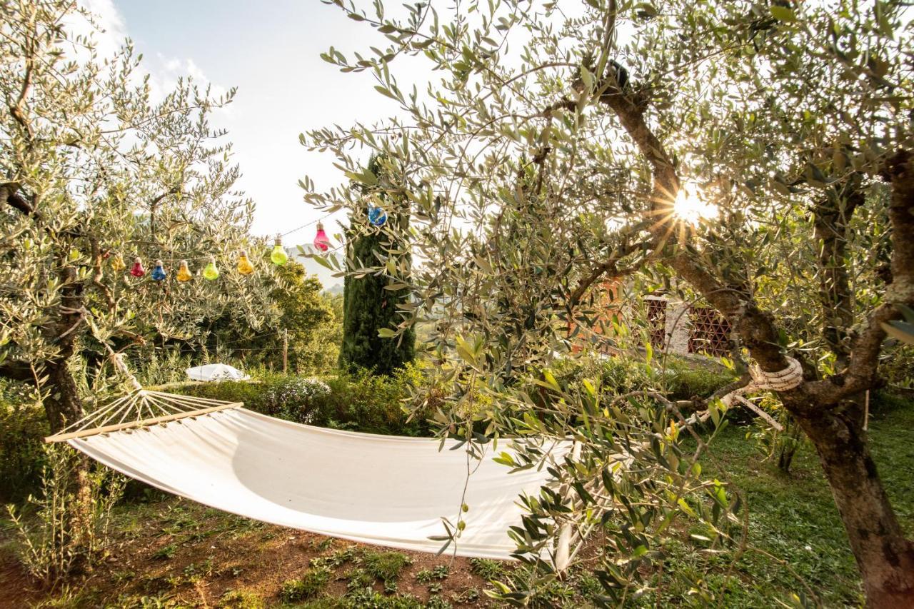 Casetta Di Butia, Appartamento Iris Lucca Exteriör bild
